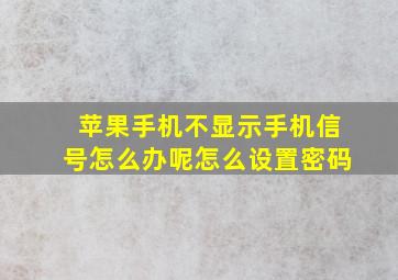 苹果手机不显示手机信号怎么办呢怎么设置密码