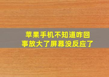 苹果手机不知道咋回事放大了屏幕没反应了