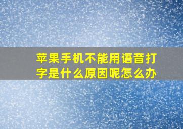 苹果手机不能用语音打字是什么原因呢怎么办