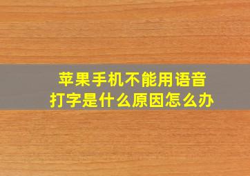 苹果手机不能用语音打字是什么原因怎么办