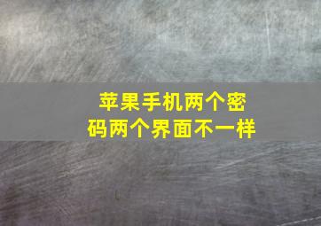 苹果手机两个密码两个界面不一样