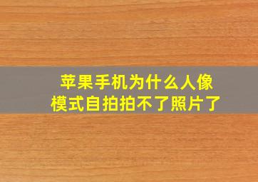 苹果手机为什么人像模式自拍拍不了照片了