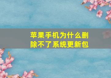 苹果手机为什么删除不了系统更新包