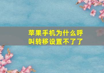 苹果手机为什么呼叫转移设置不了了