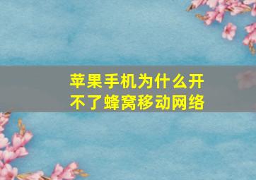 苹果手机为什么开不了蜂窝移动网络