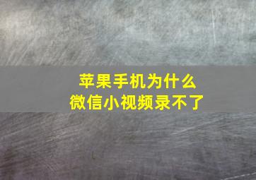 苹果手机为什么微信小视频录不了