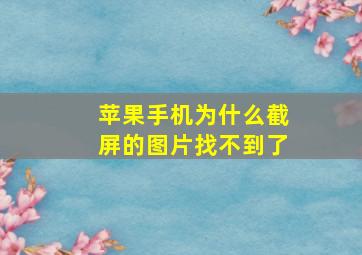 苹果手机为什么截屏的图片找不到了