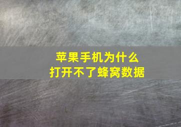 苹果手机为什么打开不了蜂窝数据