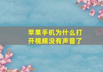 苹果手机为什么打开视频没有声音了