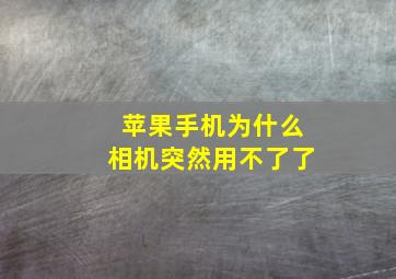 苹果手机为什么相机突然用不了了