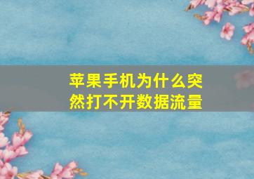 苹果手机为什么突然打不开数据流量