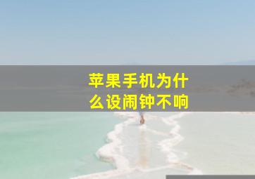 苹果手机为什么设闹钟不响