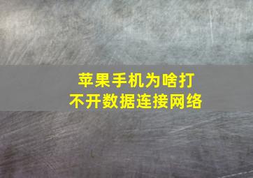 苹果手机为啥打不开数据连接网络