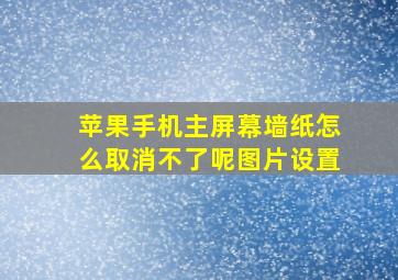 苹果手机主屏幕墙纸怎么取消不了呢图片设置