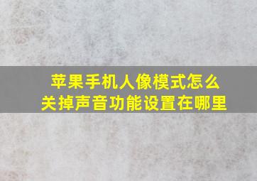 苹果手机人像模式怎么关掉声音功能设置在哪里