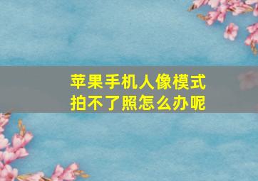 苹果手机人像模式拍不了照怎么办呢