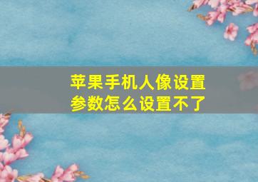 苹果手机人像设置参数怎么设置不了