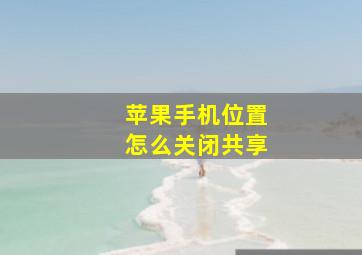 苹果手机位置怎么关闭共享