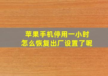 苹果手机停用一小时怎么恢复出厂设置了呢