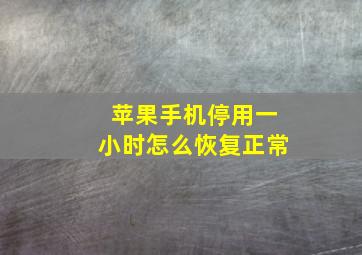 苹果手机停用一小时怎么恢复正常