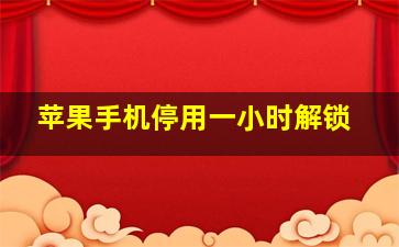 苹果手机停用一小时解锁