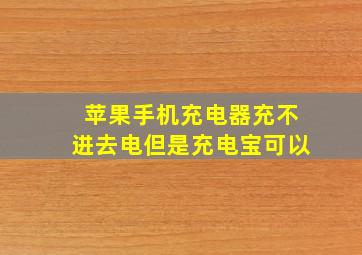 苹果手机充电器充不进去电但是充电宝可以