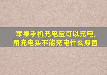 苹果手机充电宝可以充电,用充电头不能充电什么原因