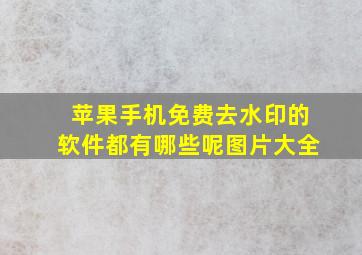 苹果手机免费去水印的软件都有哪些呢图片大全