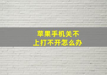 苹果手机关不上打不开怎么办