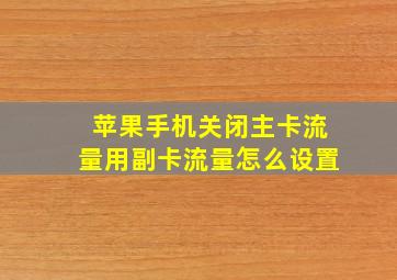 苹果手机关闭主卡流量用副卡流量怎么设置