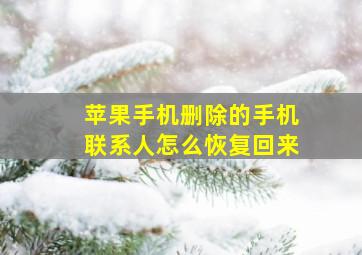 苹果手机删除的手机联系人怎么恢复回来