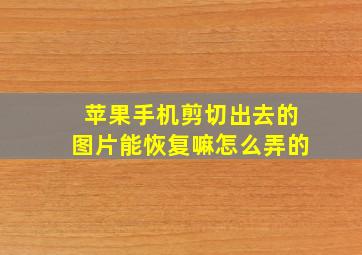 苹果手机剪切出去的图片能恢复嘛怎么弄的