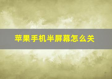 苹果手机半屏幕怎么关