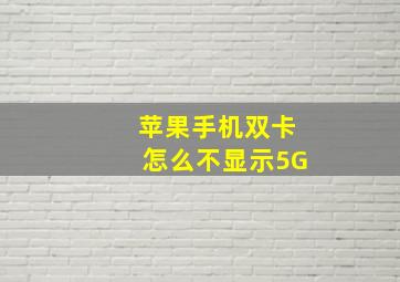 苹果手机双卡怎么不显示5G