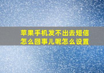 苹果手机发不出去短信怎么回事儿呢怎么设置