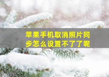 苹果手机取消照片同步怎么设置不了了呢