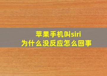 苹果手机叫siri为什么没反应怎么回事