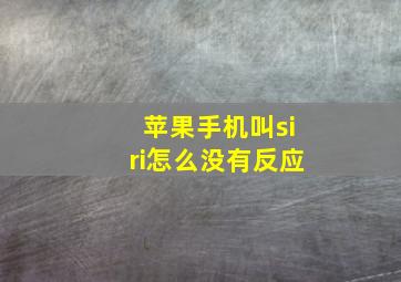 苹果手机叫siri怎么没有反应