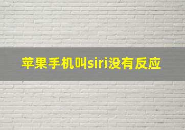 苹果手机叫siri没有反应