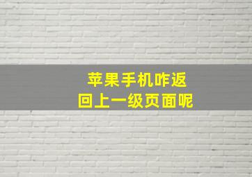 苹果手机咋返回上一级页面呢