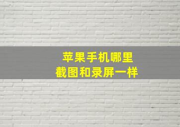 苹果手机哪里截图和录屏一样