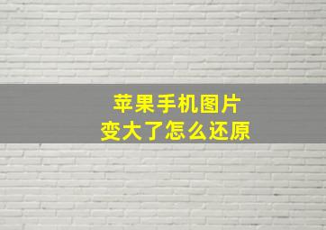 苹果手机图片变大了怎么还原