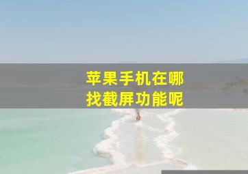 苹果手机在哪找截屏功能呢