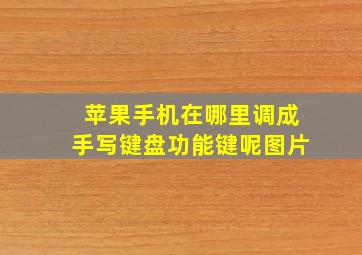 苹果手机在哪里调成手写键盘功能键呢图片