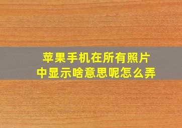 苹果手机在所有照片中显示啥意思呢怎么弄