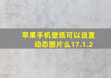 苹果手机壁纸可以设置动态图片么17.1.2