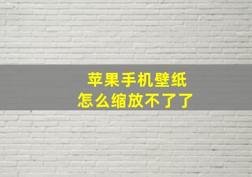 苹果手机壁纸怎么缩放不了了