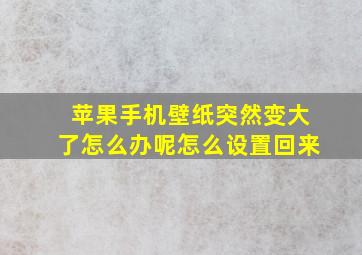 苹果手机壁纸突然变大了怎么办呢怎么设置回来