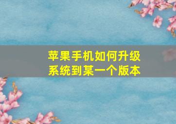 苹果手机如何升级系统到某一个版本