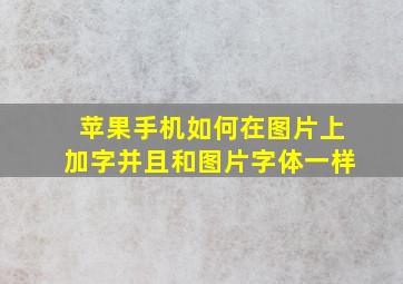 苹果手机如何在图片上加字并且和图片字体一样